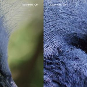 Infinity solution - Görsel 22