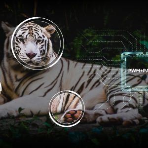 Infinity solution - Görsel 6