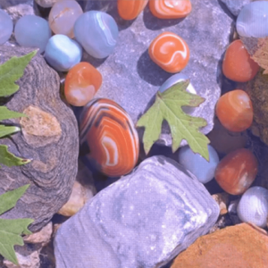 MCTRL 4K - Görsel 6