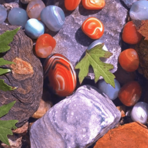 MCTRL 4K - Görsel 7